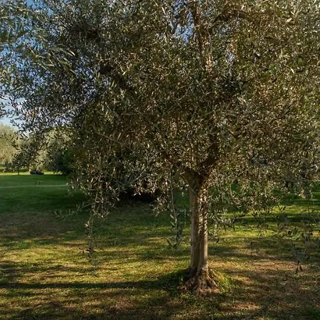 Siloral Blu Villa Donoratico